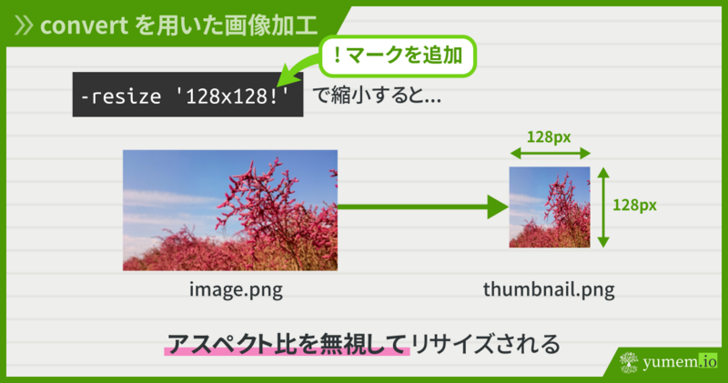 アスペクト比を無視して縮小した場合の、処理前後の画像