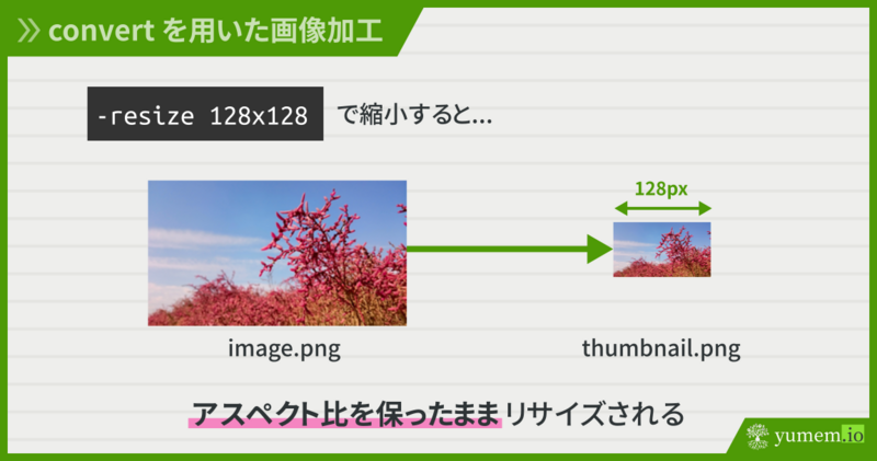 アスペクト比を維持して縮小した場合の、処理前後の画像